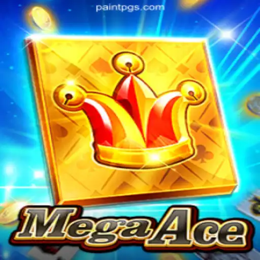MegaAce: Navigating the Dynamic World of PaintPG⭐️ ONLINE